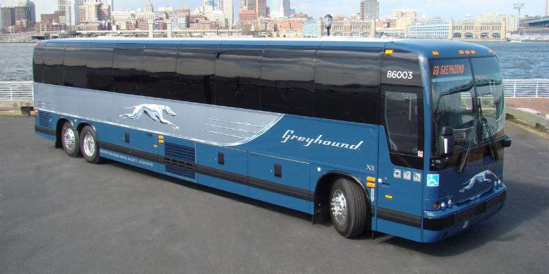 Greyhound