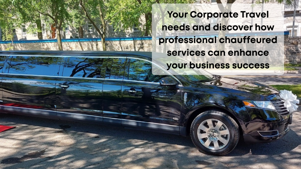 Signature Limo Corporate 03